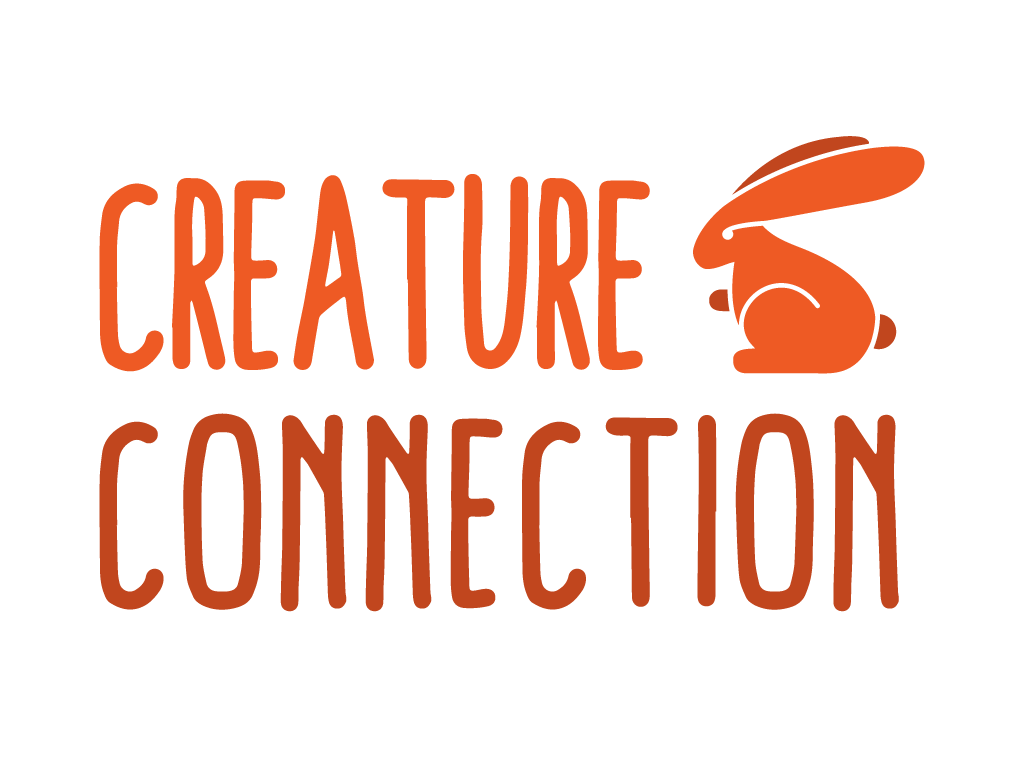Creature Connections at Discovery Center